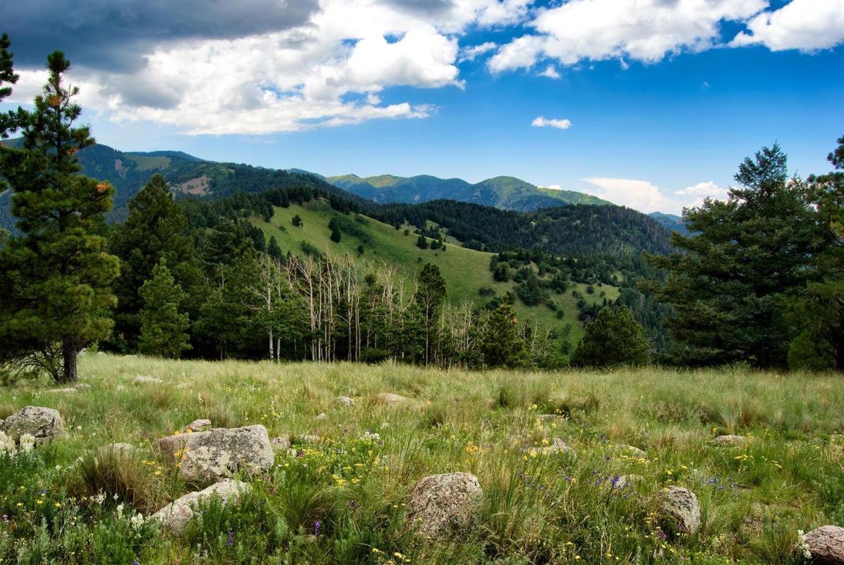 Country Cabin, 2 Bedrooms, Fireplace, Midtown, Sleeps 6 Ruidoso Eksteriør bilde